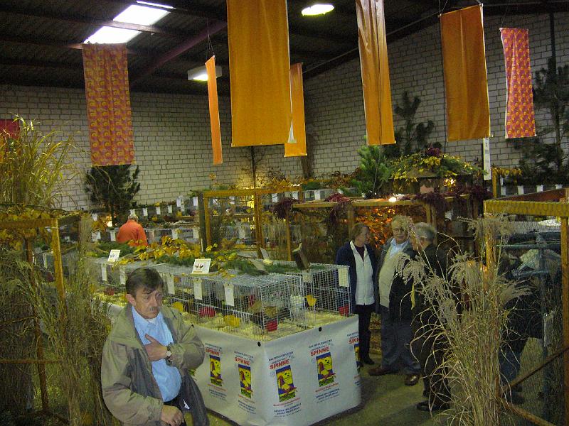 Mastholte 2008 114.jpg - Rassegeflügelschau Mastholte 2008